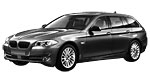 BMW F11 B011A Fault Code